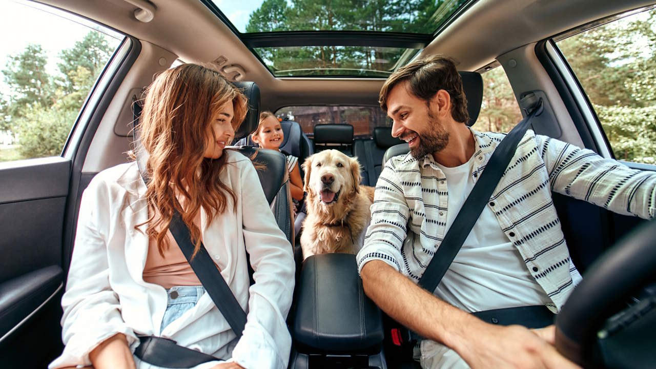 Preview Image of 5 SPIELE FÜR DIE AUTOFAHRT