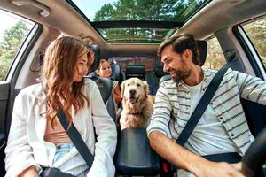 Preview Image of AUTOFAHREN MIT HUND: SICHER, STRESSFREI UND GUT VORBEREITET UNTERWEGS