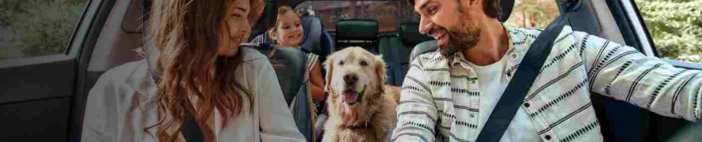 Eine sichere Autofahrt mit Ihrem Hund erfordert Planung, geeignete Transportmöglichkeiten und die Einhaltung gesetzlicher Vorschriften. So wird die Reise für alle entspannt und sicher.