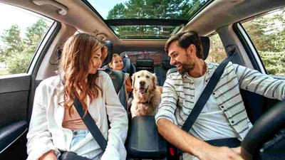 AUTOFAHREN MIT HUND: SICHER, STRESSFREI UND GUT VORBEREITET UNTERWEGS