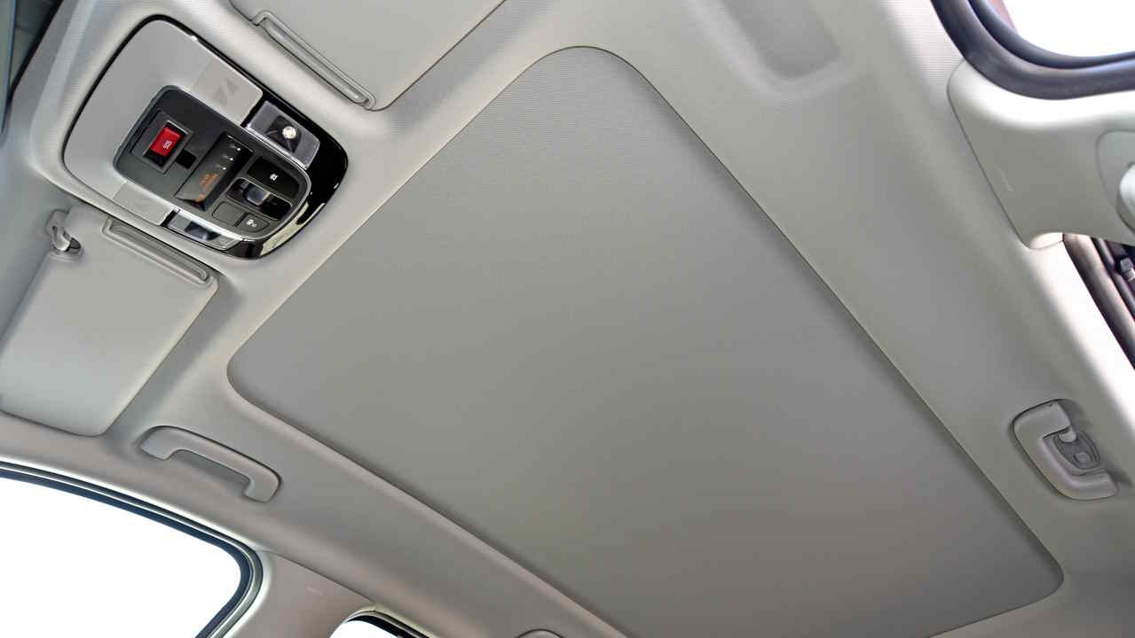 Preview Image of DACHHIMMEL REINIGEN: TIPPS & TRICKS FÜR MEHR SAUBERKEIT