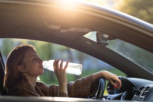Preview Image of HOT, HOT, CARLI – SO SCHÜTZEN SIE SICH VOR HITZE IM AUTO