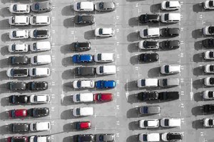 Preview Image of PARKEN IN WIEN: ENTSPANNT DURCH DEN GROSSSTADTDSCHUNGEL