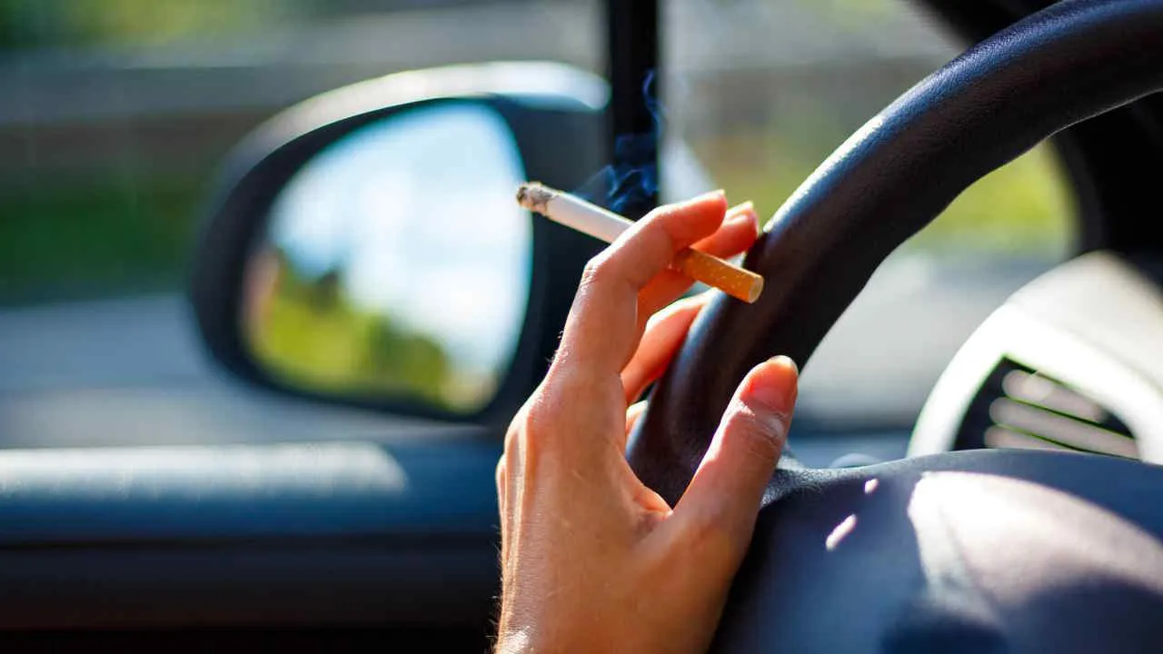 elfbar elfa kaufen Kann eine Einweg E-Zigarette verfallen? Werden Vapes schlecht? main image 1