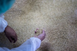 Preview Image of SEAT PRODUZIERT AUTOTEILE AUS REISHÜLSEN