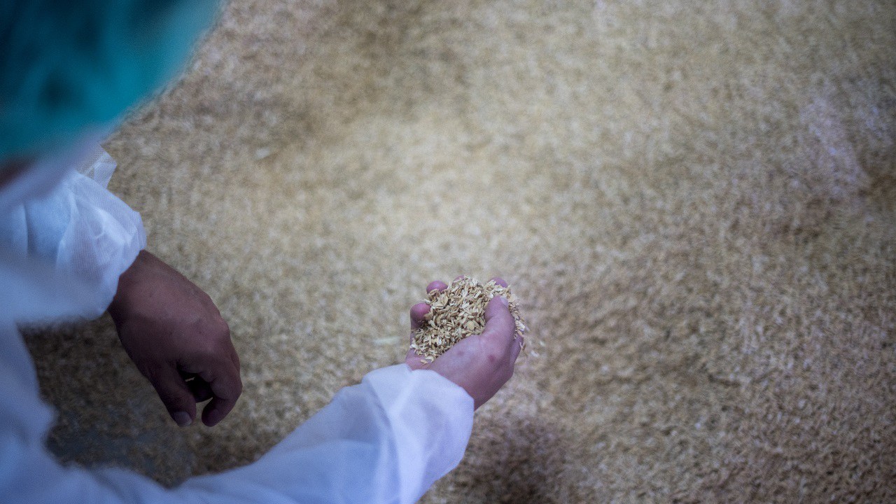 Preview Image of SEAT PRODUZIERT AUTOTEILE AUS REISHÜLSEN