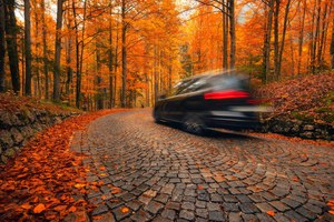 SICHER DURCH DEN HERBST Preview Image of SICHER DURCH DEN HERBST