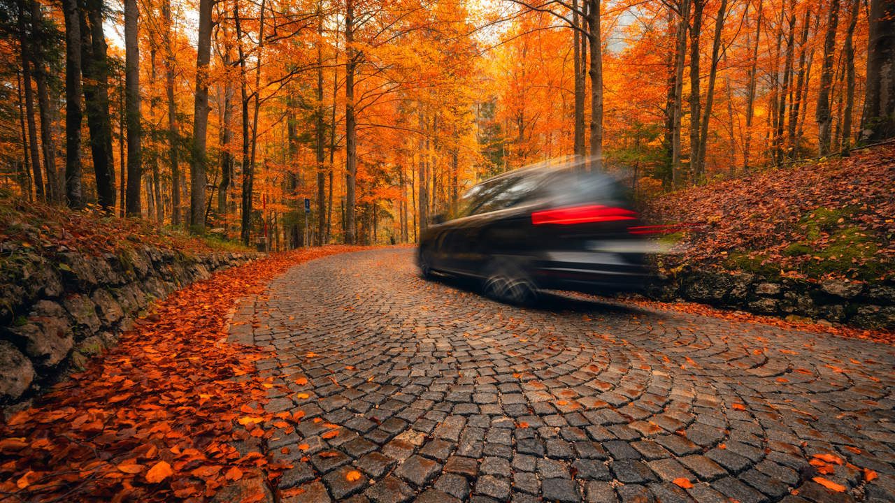 Preview Image of SICHER DURCH DEN HERBST